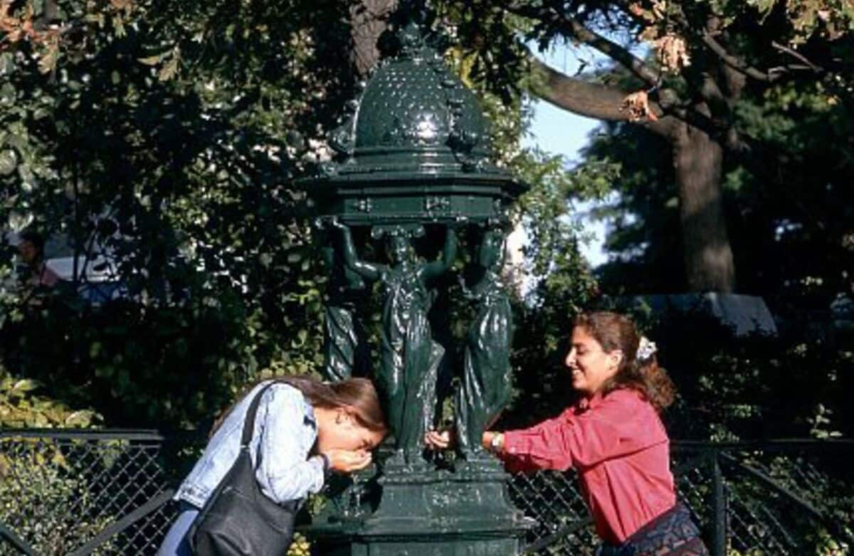 Questions Arises On Grenada S Wallace Fountain Disappearance