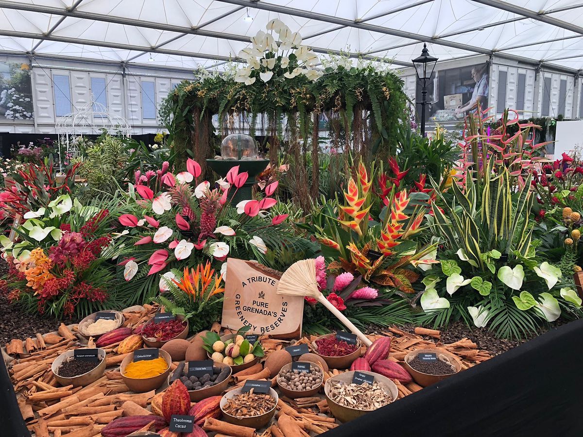 Grenada wins 16th gold medal at RHS Chelsea's Flower Show 2023