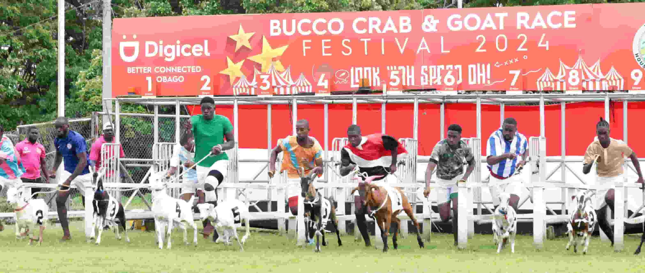 Tobago: Buccoo Crab and Goat Race Festival 