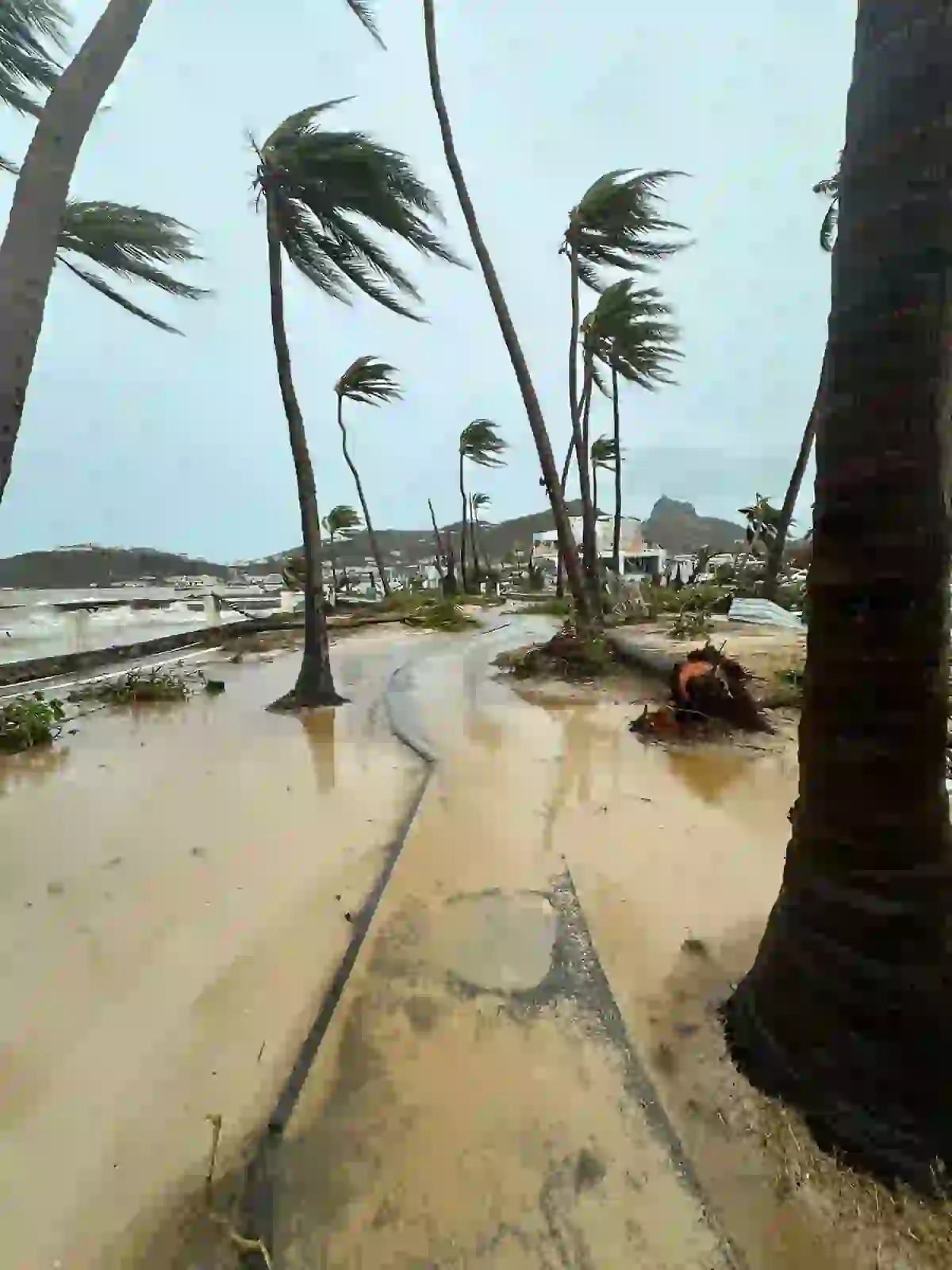 Hurricane Beryl