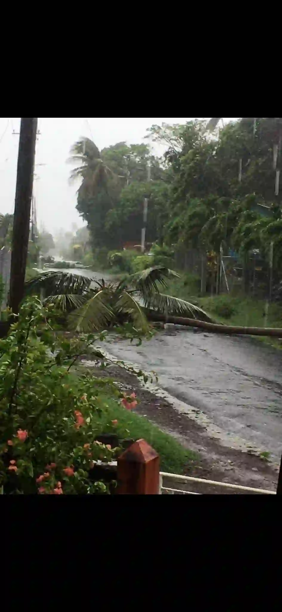 Hurricane Beryl 