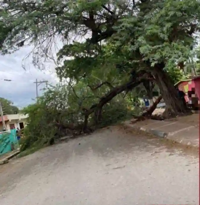 Hurricane Beryl impact in Jamaica